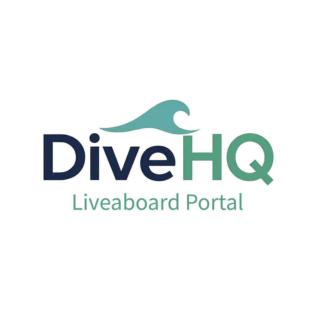DiveHQ logo